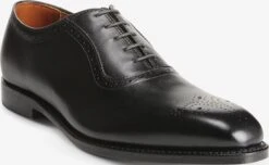 Cornwallis Dress Oxford 