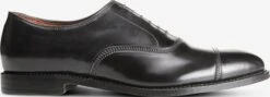 Park Avenue Shell Cordovan Cap-toe Oxford Dress Shoe -Allenedmonds Sshop ec4001444 right feed660w