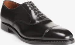 Park Avenue Shell Cordovan Cap-toe Oxford Dress Shoe