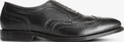 McAllister Wingtip Oxford Dress Shoe -Allenedmonds Sshop ec4001585 right feed660w
