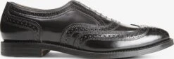 Cambridge Shell Cordovan Wingtip Dress Shoe -Allenedmonds Sshop ec4002063 right feed660w