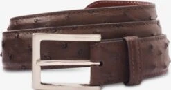 Ostrich Avenue Dress Belt 
