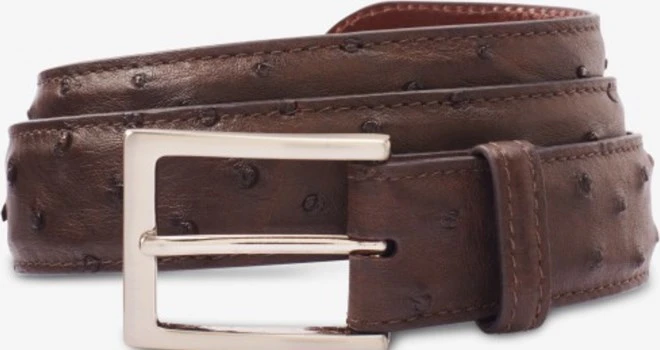 Ostrich Avenue Dress Belt 1 Ostrich Avenue Dress Belt
