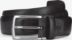 Glass Avenue Dress Belt