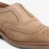 Neumok Suede Wingtip Oxford 