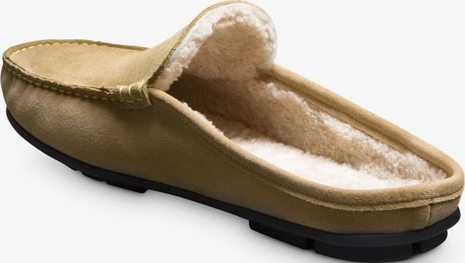 Sebastian Slipper 2 Sebastian Slipper - Image 2